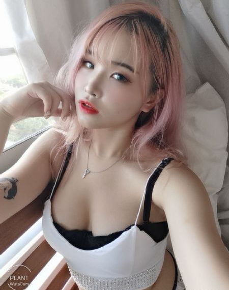 噼里啪啦的动漫在线观看